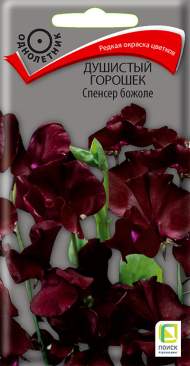 Душистый горошек Спенсер божоле (поиск) 1,0 гр