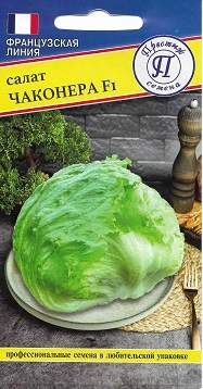 Салат кочанный Чаконера F1 (престиж) 5 шт Салат кочанный Чаконера F1 (престиж) 5 шт