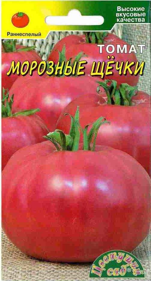 томат морозко отзывы фото