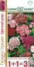 Гвоздика турецкая Цветной узор 1+1=3 (гавриш) 0,4 гр однолетник  – купить в г. Москва
