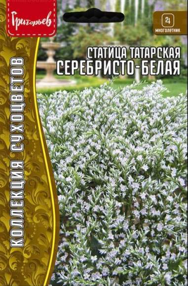 Статица татарская Серебристо-белая (кермек) (Григорьев) 10 шт – купить в г. Москва Статица татарская Серебристо-белая (кермек) (Григорьев) 10 шт – купить в г. Москва