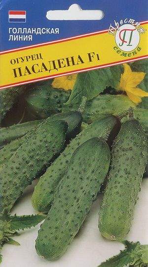 Огурец Пасадена (пр) Огурец Пасадена (пр)