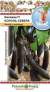 Баклажан Король севера F1 (нк) 35шт  – купить в г. Москва