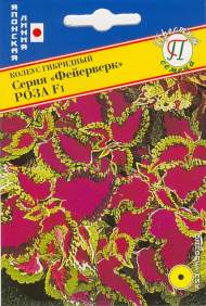 Колеус серия фейерверк Роза F1 (престиж) 10 шт
