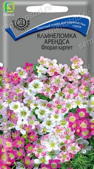 Камнеломка Арендса Флорал карпет (поиск) 0,01 гр 