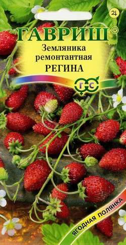 Купить Земляника Регина (г) 0,03гр от