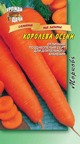  Морковь на ленте Королева осени (уу) 