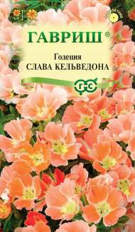 Годеция Слава Кальведона (гавриш) 0,05 гр