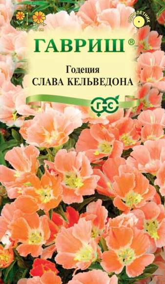 Годеция Слава Кальведона (гавриш) 0,05 гр – купить в г. Москва Годеция Слава Кальведона (гавриш) 0,05 гр – купить в г. Москва