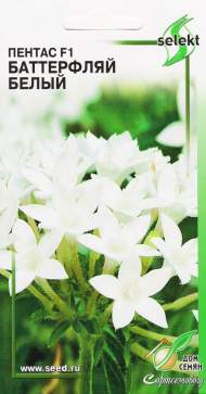 Пентас F1 Баттерфляй Белый (дом семян) 3 шт Пентас F1 Баттерфляй Белый (дом семян) 3 шт