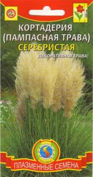 Кортадерия Серебристая (пампасная трава) (плазмас) 0,01 гр