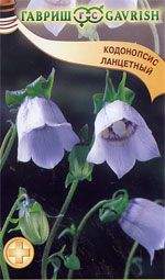 Купить семена Кодонопсис ланцетный с доставкой курьером и почтой в ...