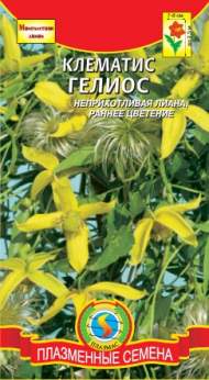 Клематис Гелиос (плазмас) 10 шт