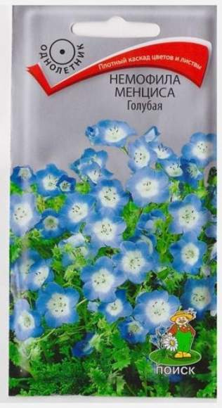 Немофила Менциса голубая (поиск) 0,09гр  – купить в г. Москва