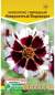 Кореопсис Невероятный водоворот (евро семена) 5 шт  – купить в г. Москва