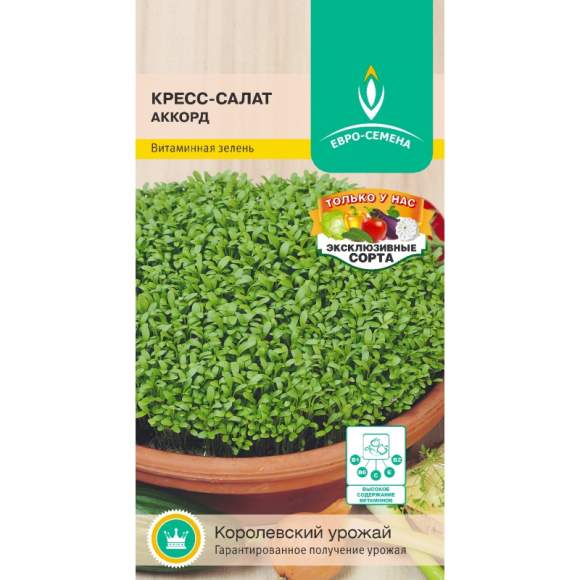 Кресс-салат Аккорд (евро семена) 1,0гр 