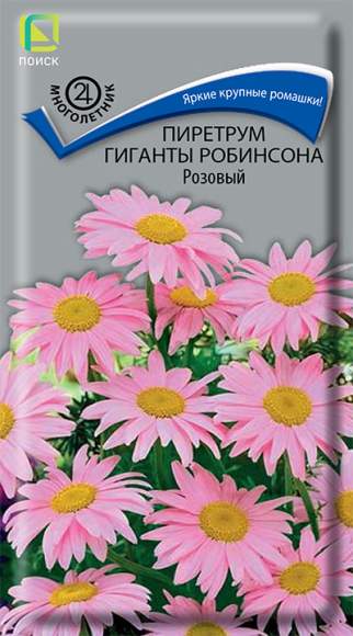 Пиретрум Гиганты Робинсона розовый (поиск) 0,1гр 