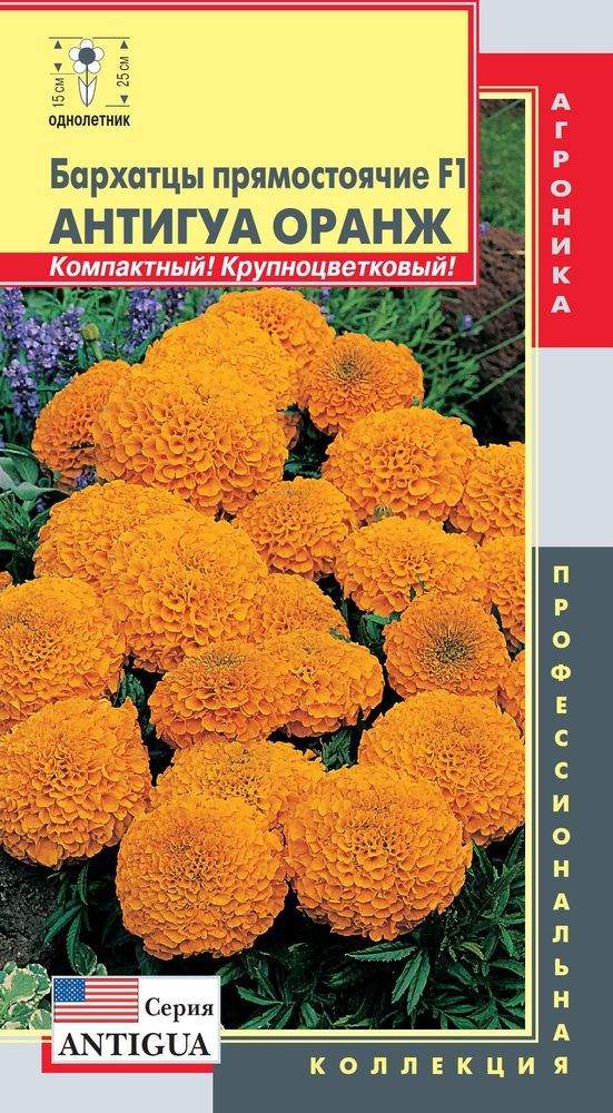 Купить семена Бархатцы Антигуа оранж F1 (п) 5шт — доставка по России ...