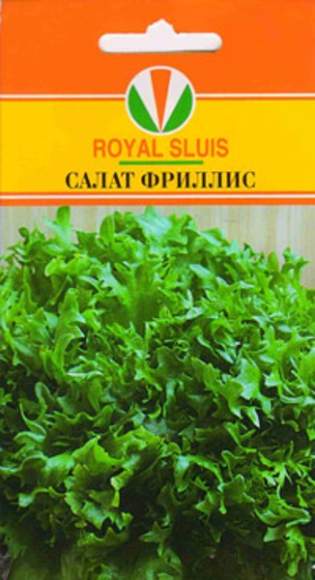  Салат листовой Фриллис (акварель) 20шт 