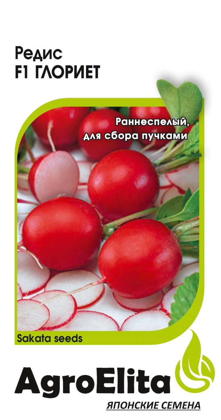 Редис глориет. Редис Глориет f1. Редис Глориет f1 0,5 г (Саката) Гавриш. Редис Глориет f1 0,5г. Гавриш. Редис "Глориет f1" Престиж.