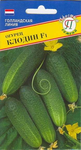 Огурец Клодин F1 (престиж) 5 шт (seminis)  – купить в г. Москва