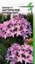 Пентас F1 Баттерфляй Лавандовый (дом семян) 3 шт  – купить в г. Москва