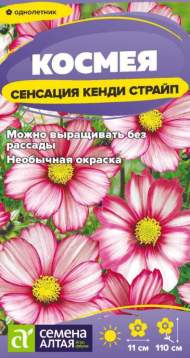 Космея Кенди страйп (семена Алтая) 0,3 гр Космея Кенди страйп (семена Алтая) 0,3 гр
