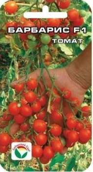 Томат Барбарис F1 (сибирский сад) 15 шт Томат Барбарис F1 (сибирский сад) 15 шт