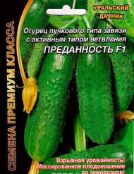 Огурец Преданность F1 (уд) 5шт