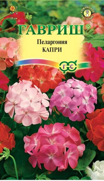Пеларгония Капри F2 (гавриш) 4 шт Пеларгония Капри F2 (гавриш) 4 шт