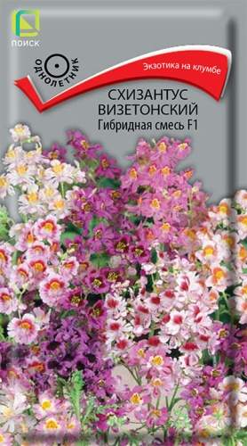 Схизантус Визетонский гибридная смесь F1 (поиск) 0,06гр 