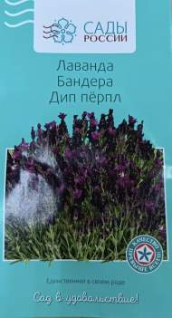Лаванда бандера Дип перпл (сады России) 5 шт Лаванда бандера Дип перпл (сады России) 5 шт