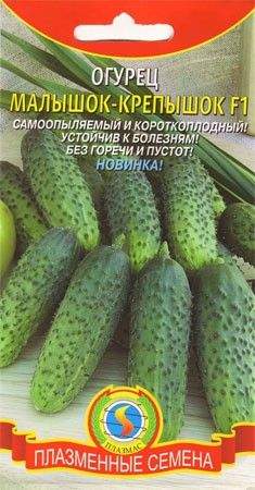 Купить семена Огурец Малышок-крепышок (п) — доставка по России, магазин ...