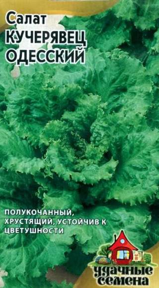  Салат полукочанный Одесский кучерявец (ус) 0,5гр 