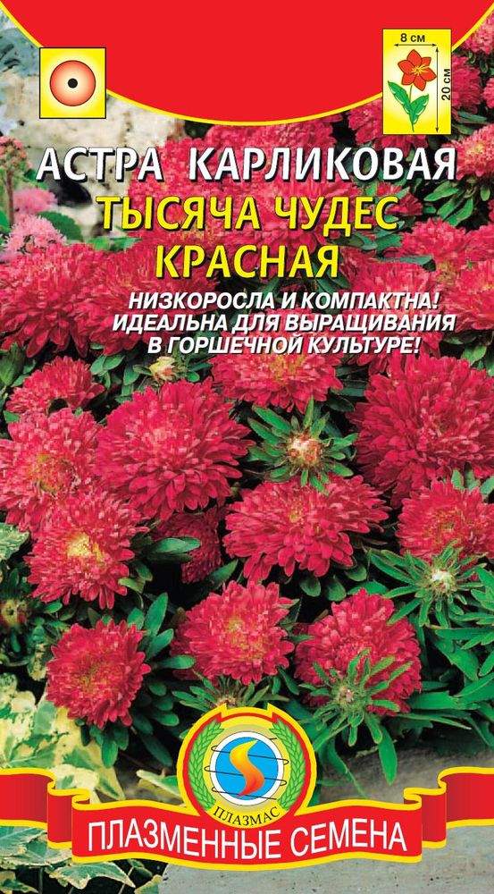 Купить Семена Низкорослых Цветов