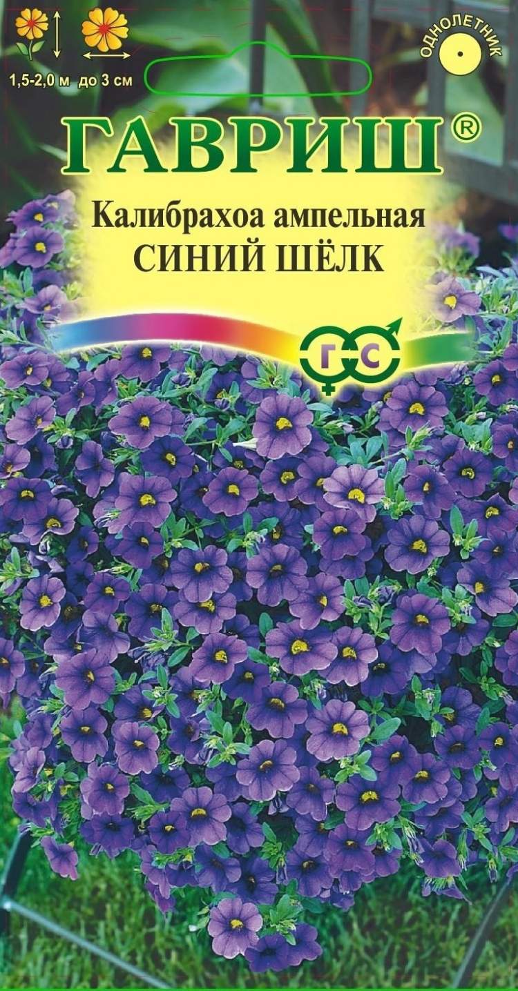 Калибрахоа Купить Семена В Магазине
