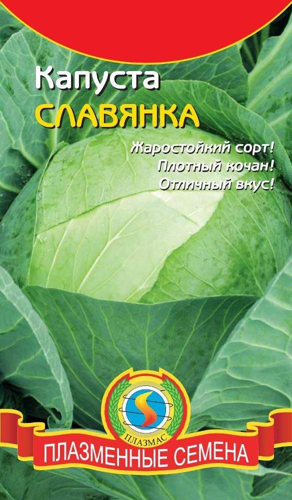 Плазменные семена. Капуста белокочанная Славянка. Капуста б/к белорусская 455 плазменные семена БП. Семена Славянка. Капуста белокочанная Настя.