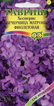 Хесперис женский Вечерница Матроны фиолетовая (г) 0,1гр