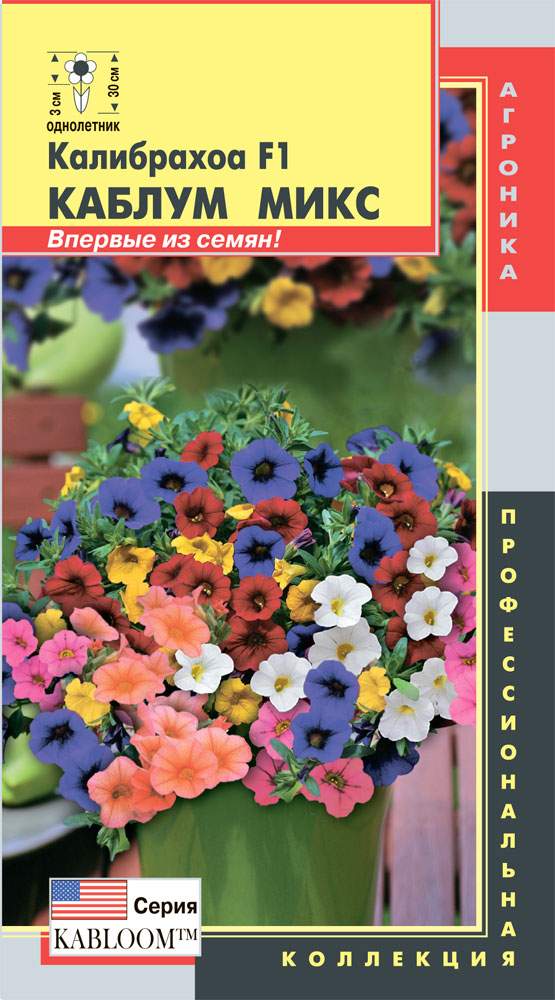 Калибрахоа Семена Купить Пермь