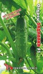 Огурец Задавака (б) 10шт Огурец Задавака (б) 10шт