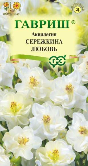 Аквилегия Сережкина любовь (гавриш) 0,05 гр 