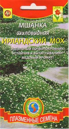 Купить семена Мшанка Ирландский мох (п) 0,01гр — доставка по России ...