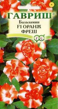 Бальзамин оранж фреш (гавриш) 4шт