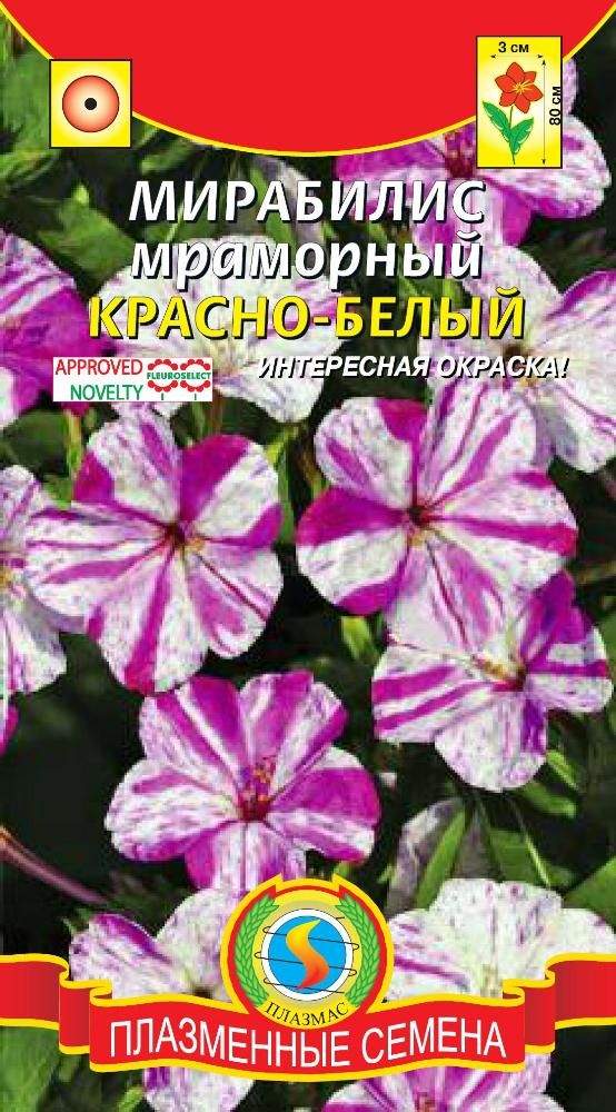 Мирабилис белый