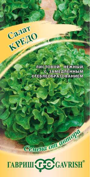 Салат листовой Кредо (гавриш) 0,5 гр 