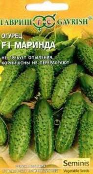 Огурец Маринда F1 (гавриш) 5шт Огурец Маринда F1 (гавриш) 5шт