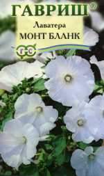 Лаватера Монт бланк (гавриш) 0,3гр Лаватера Монт бланк (гавриш) 0,3гр