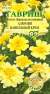Бархатцы Алюмия ванильный крем (гавриш) 7 шт  – купить в г. Москва