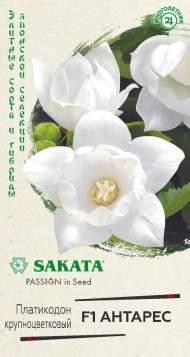 Платикодон Антарес F1 (гавриш) 4шт Платикодон Антарес F1 (гавриш) 4шт