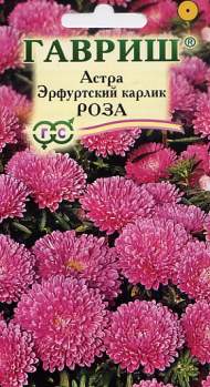 Астра Эрфуртский карлик Роза (гавриш) 0,3гр Астра Эрфуртский карлик Роза (гавриш) 0,3гр